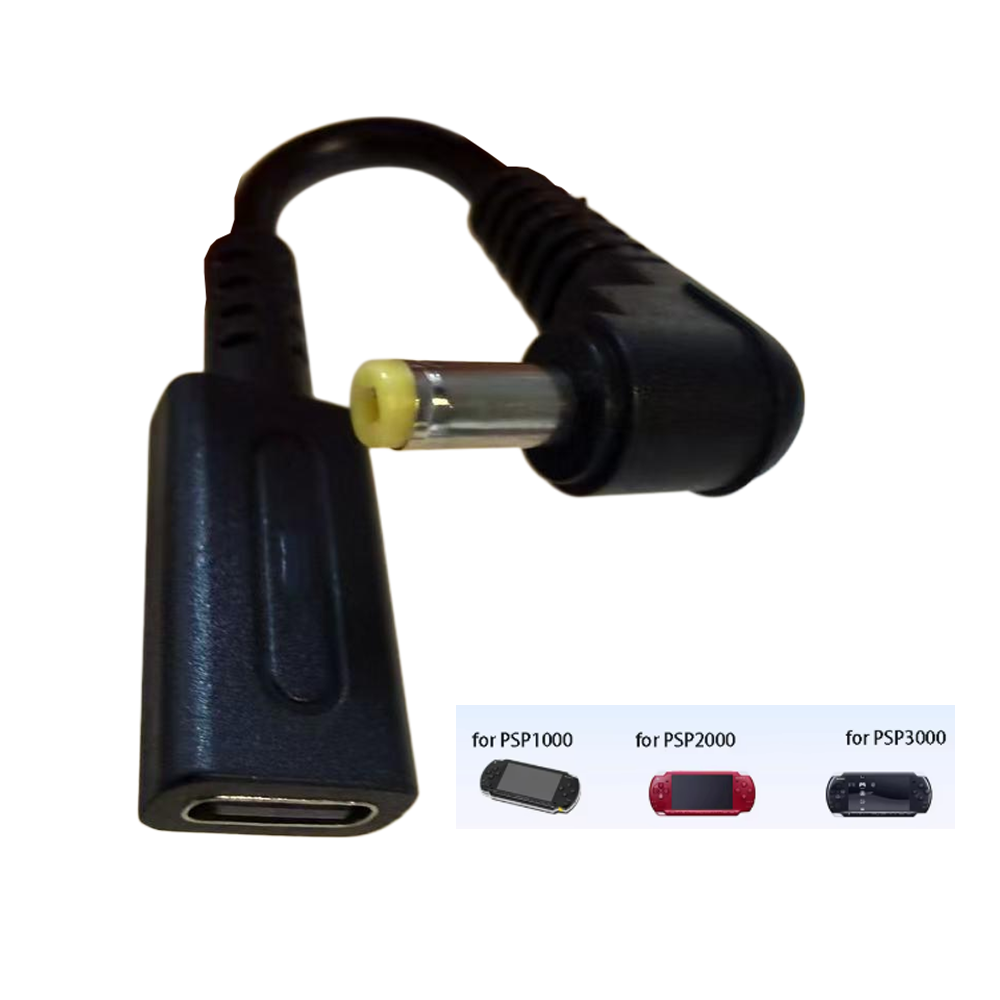 Type C 45W PD Charge Cable for - Gaming Console Types recensione e prezzo